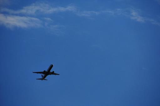 青空と航空機 青空と航空機 海外旅行,エアライン,ブルーの写真素材
