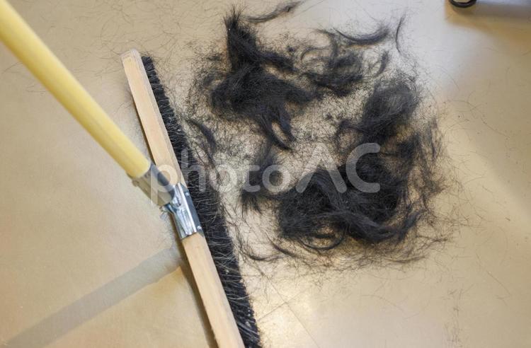 カットされた髪の毛の画像 散髪,髪,集めるの写真素材