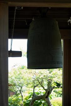 ［神奈川県鎌倉市］海蔵寺｜花の寺 鎌倉,海蔵寺,花の寺の写真素材