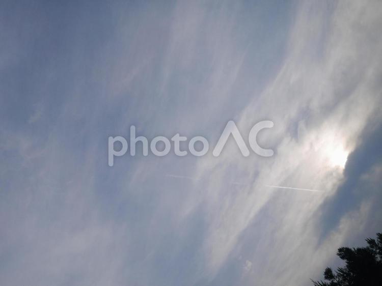 生まれたての飛行機雲2 くも,空,cloudの写真素材