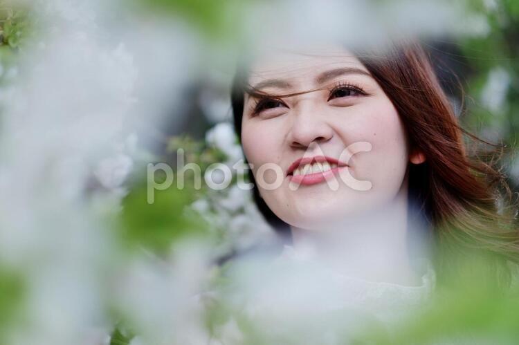 桜と派手目なメークの日本人女性1 女性,日本人,アジア人の写真素材