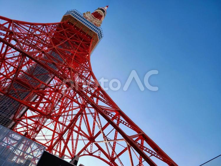 下から見上げる東京タワーと青空 東京タワー,ランドマーク,タワーの写真素材