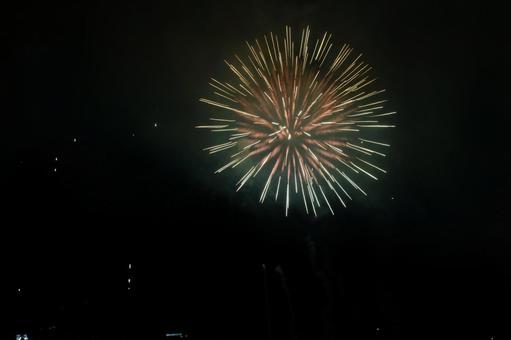 夜空に咲く大輪の花火 花火,打ち上げ花火,夜空の写真素材