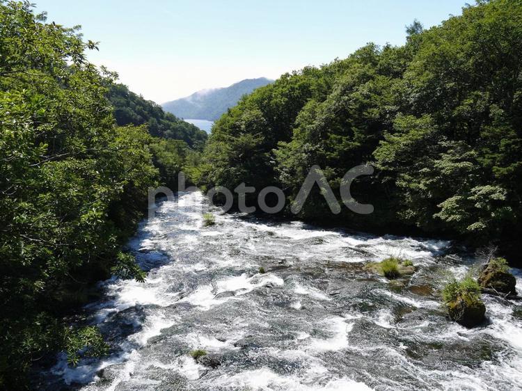 新緑の奥日光・龍頭の滝、滝上 奥日光,龍頭の滝,滝の写真素材
