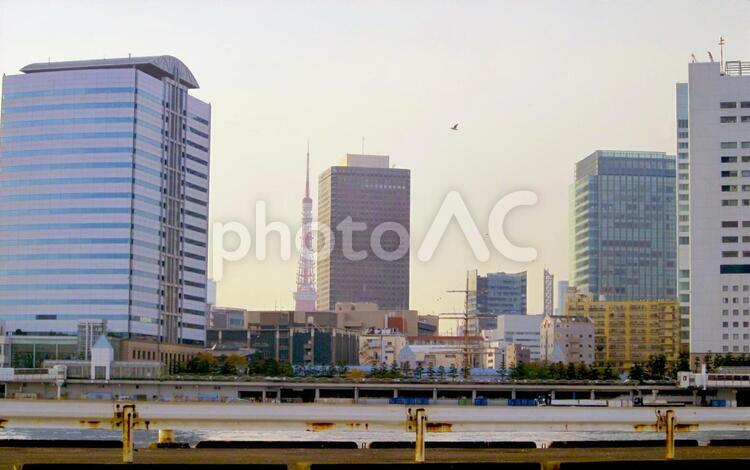 東京の風景　ビルと東京タワー 東京,風景,ビルの写真素材
