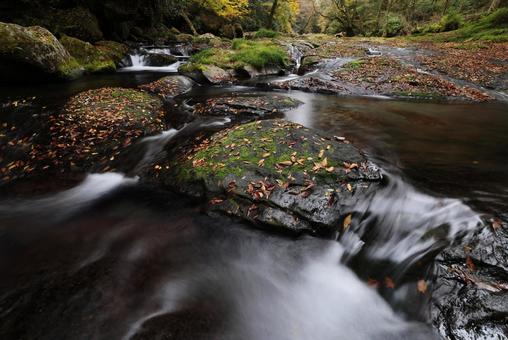菊池渓谷 菊池渓谷,熊本県,渓流の写真素材