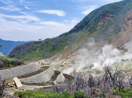 濛々と湯気を上げる箱根の大涌谷 濛々と湯気を上げる箱根の大涌谷 大涌谷,箱根,観光の写真素材