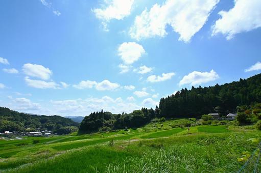 青空と棚田の美しい風景 青空と棚田の美しい風景 自然,棚田,里山の写真素材