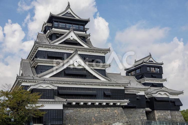 秋の晴天の熊本城天守閣 熊本城,天守閣,本丸の写真素材