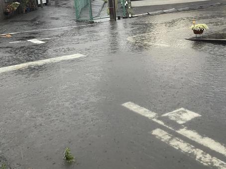 ゲリラ豪雨 ゲリラ豪雨の写真