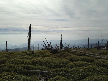 照片, 大台ケ原, 西大台原, 東京大學大河原分校, 