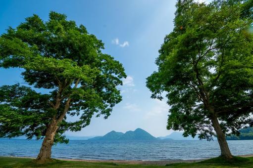 夏の洞爺湖と大樹 夏の洞爺湖と大樹 洞爺湖,北海道,中島の写真素材