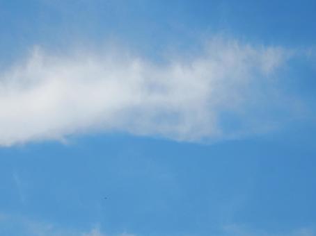 【風景写真】夏空 【風景写真】夏空の写真