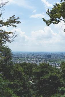 新緑 新緑 岐阜県,風景,自然の写真素材