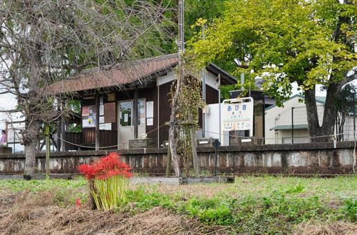彼岸花のある風景 北条鉄道 彼岸花のある風景 北条鉄道 彼岸花,曼珠沙華,ヒガンバナの写真素材