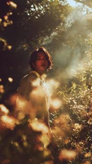 光の木々の中の青年 光の木々の中の青年の写真
