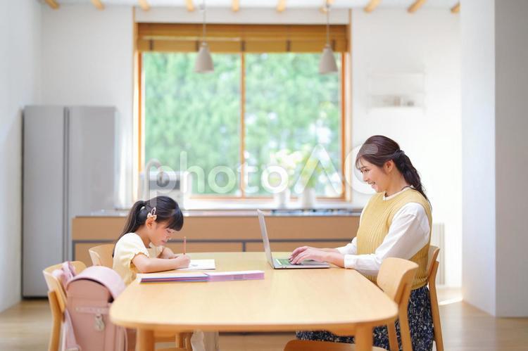 向かい合って座り作業している親子 娘,宿題,母の写真素材