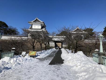 雪 雪の写真