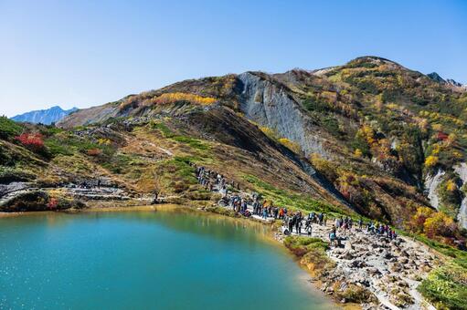 八方尾根の紅葉 八方尾根,長野,信州の写真素材
