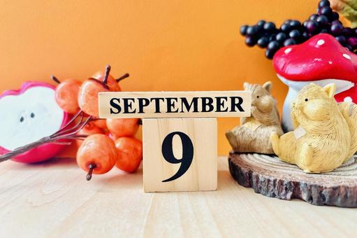 9月の背景イメージ 9月の背景イメージ 9月,カレンダー,スケジュールの写真素材