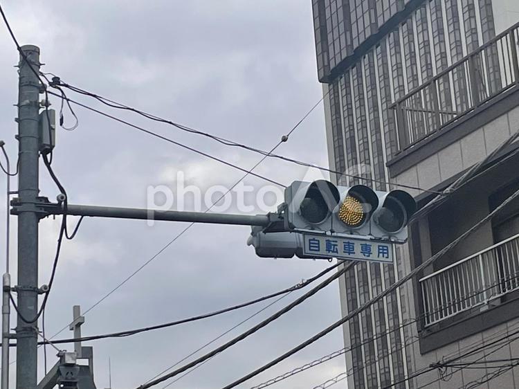 信号機　自転車専用 信号,信号機,自転車専用の写真素材