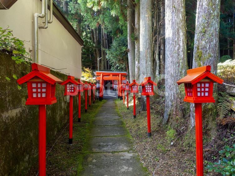 灯籠が並ぶ清高稲荷大明神の参道 清高稲荷大明神,灯籠,鳥居の写真素材