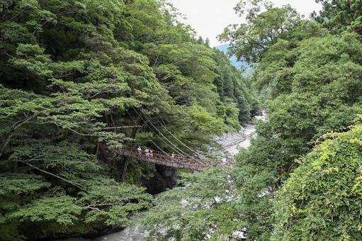 大自然 大自然 自然,風景,橋の写真素材
