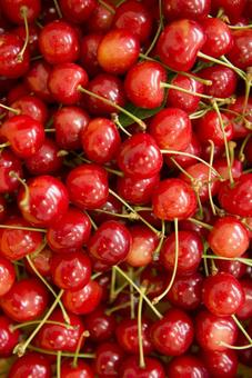 Cherry Cherry