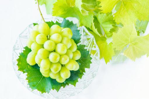 シャインマスカットの写真