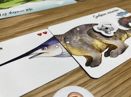 海と陸の仲間、カードで出会う カードゲーム,動物,いきものの写真素材
