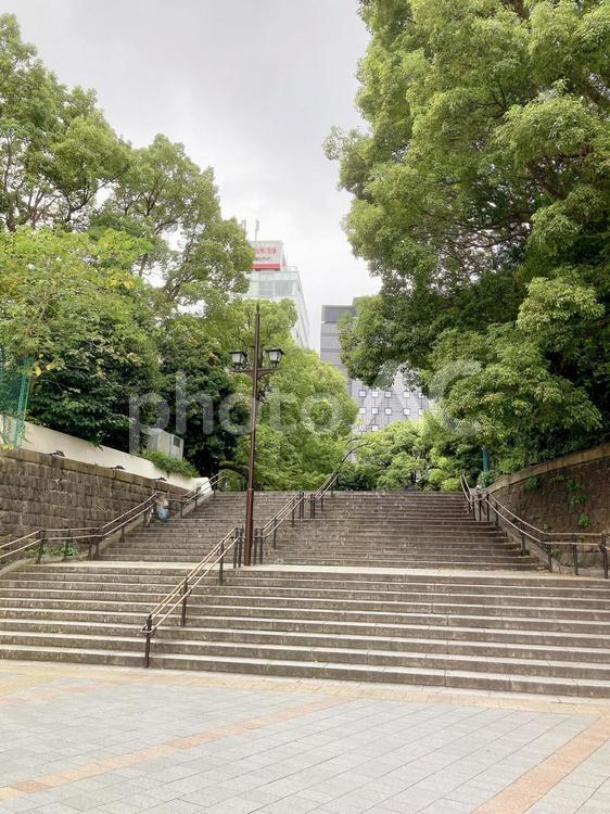 東京風景・上野公園 上野公園,上野恩賜公園,階段の写真素材