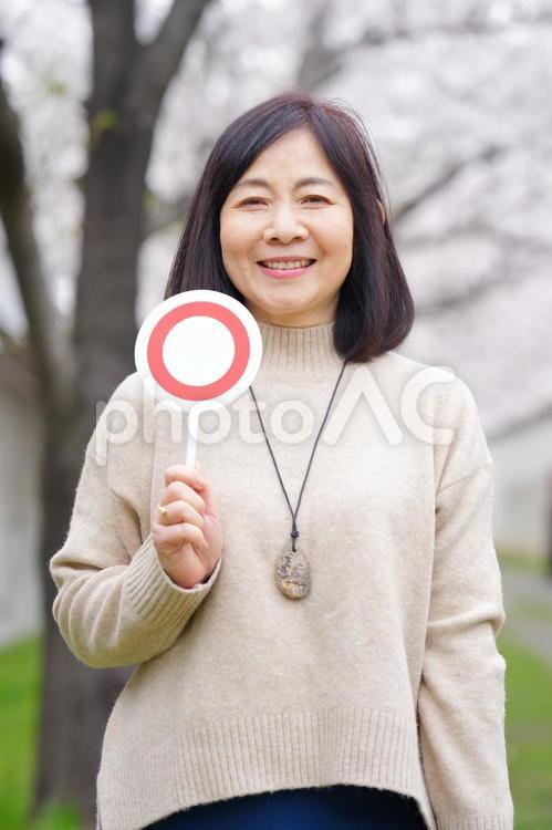 桜の前でマルの札を持っている高齢女性 女性,おばあちゃん,1人の写真素材