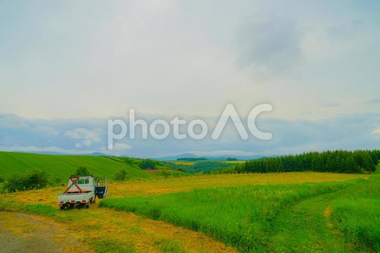 北海道富良野の平原 富良野,平原,自然の写真素材