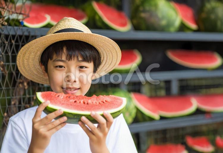 スイカ食べ放題に挑戦する男の子 キャンプ場,男の子,麦わら帽子の写真素材