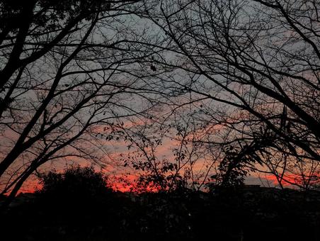 日が暮れる一瞬前の風景 日が暮れる一瞬前の風景の写真