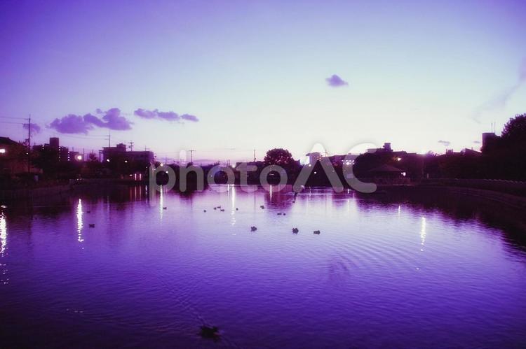 池のある公園の夕景 夕景,夕闇,池の写真素材