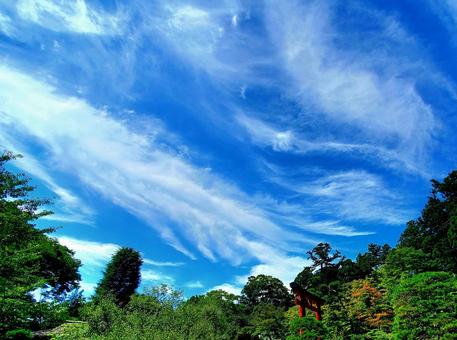 Photo, blue sky, summer sky, sunny day, 