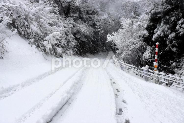 日本の雪景色、石川県七尾市、七尾城跡近辺 雪,雪国,大雪の写真素材