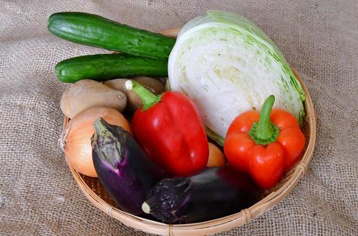 色々な野菜 色々な野菜の写真