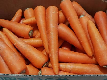 八百屋さんのニンジン 人参,野菜,スーパーの写真素材