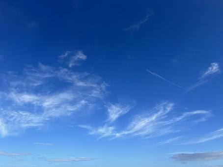 空夏 空夏の写真