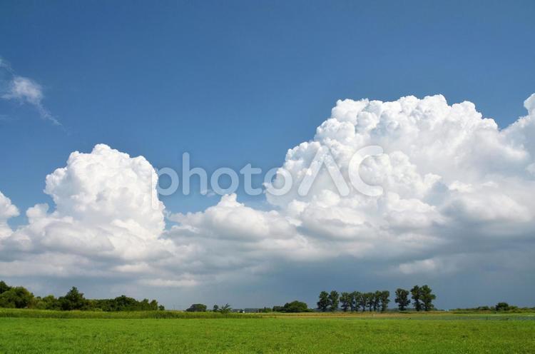 もくもく雲と空と緑の芝生 青い空,ブルースカイ,芝生の写真素材