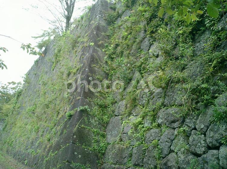 岡城本丸の石垣 岡城の写真素材
