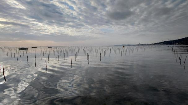 海 自然 海 自然の写真