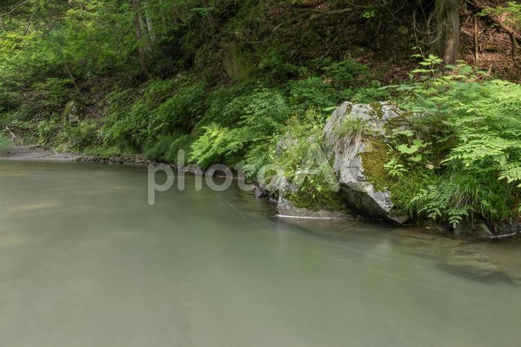 南会津の渓流　西根川 渓流,渓谷,川の写真素材