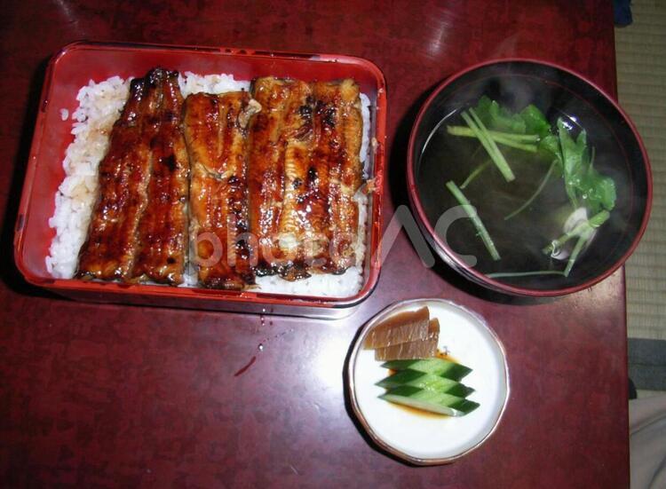 鰻重 うなぎ,鰻,ウナギの写真素材