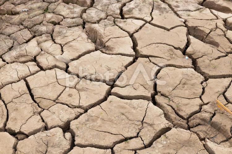 ひび割れた土の地面のクローズアップ 温暖化,水不足,乾燥の写真素材