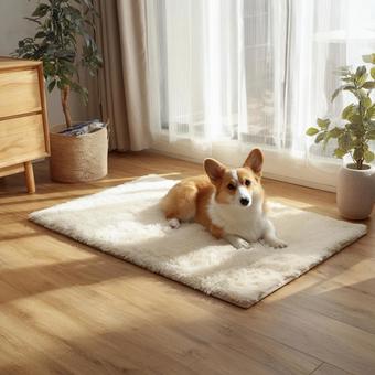 幸せな時間:家族の一員としての犬 幸せな時間:家族の一員としての犬の写真