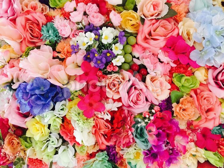 蜷川実花の写真素材 写真素材なら 写真ac 無料 フリー ダウンロードok 蜷川実花の写真素材 写真素材なら 写真ac 無料 フリー ダウンロードok