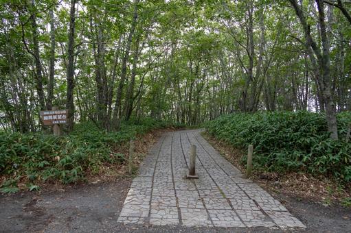 緑に囲まれた細岡展望台入口 緑に囲まれた細岡展望台入口の写真